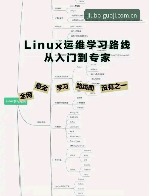 九博国际使用教程使用技巧 九博国际平台使用教程:从入门到精通的完整操作指南